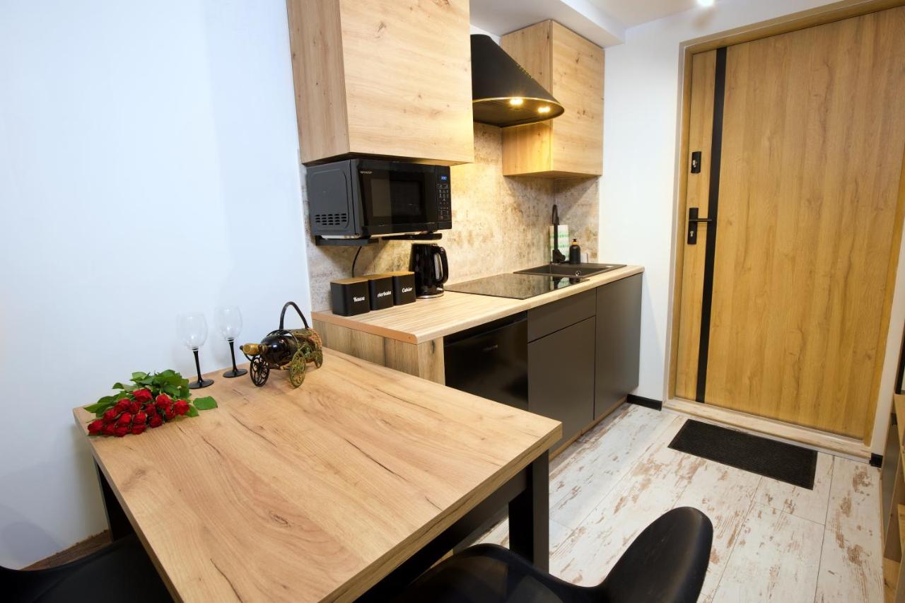 Lofty Chopina Apartment Bydgoszcz